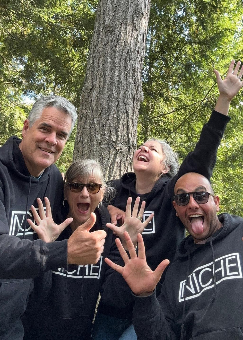 NICHE Luxe Hoodie