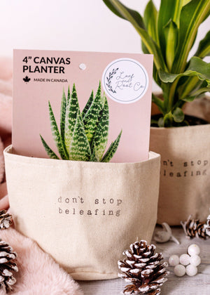 Don't Stop Be Leafing Planter