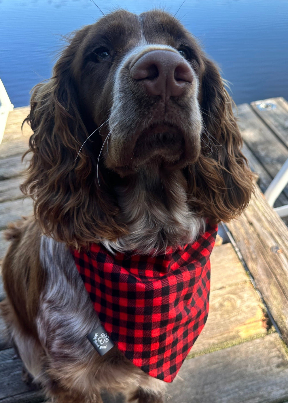 Buffalo Plaid Flannel Dog Bandana
