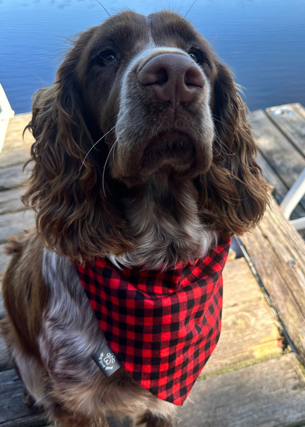 Buffalo Plaid Flannel Dog Bandana