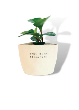 Don't Stop Be Leafing Planter