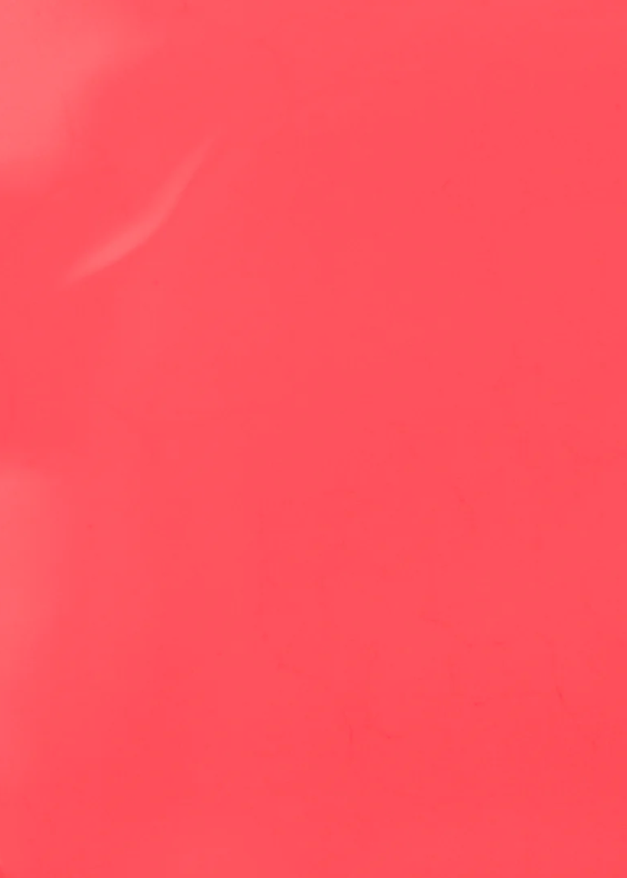 Nail Polish | Coral Crush