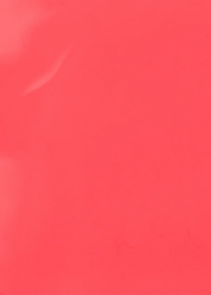 Nail Polish | Coral Crush