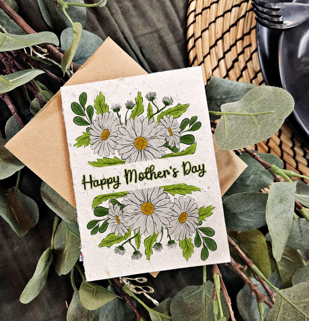 Mother's Day Daises