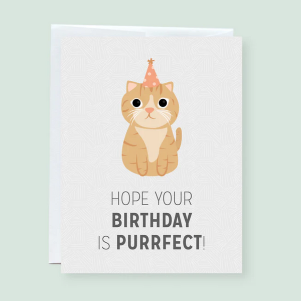 Hope Your Birthday Is Purrrrfect