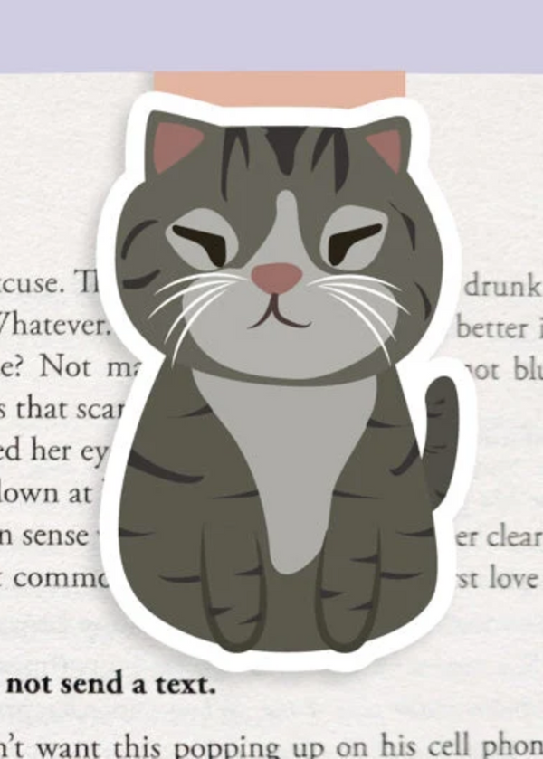 Squinty Grey Cat Magnetic Bookmark (Jumbo)